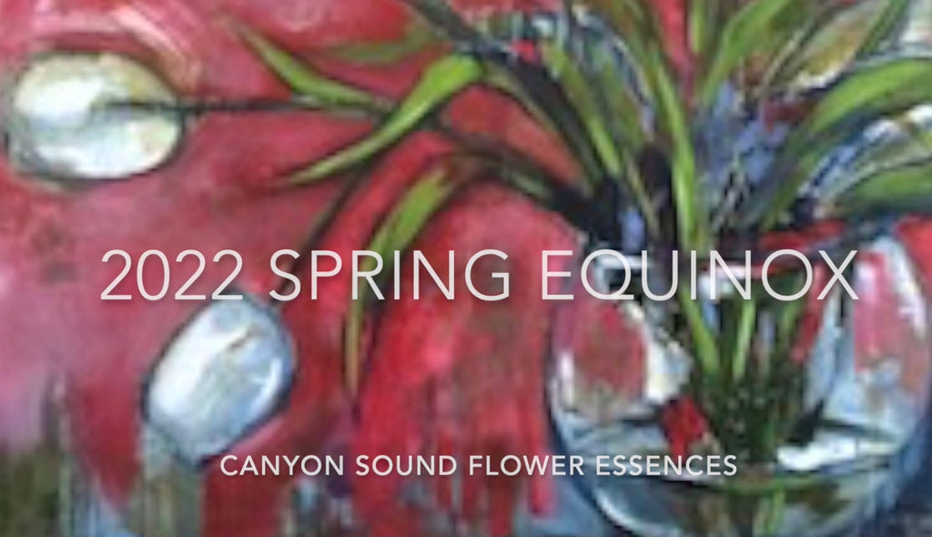 2022 Spring Equinox Essence: Video