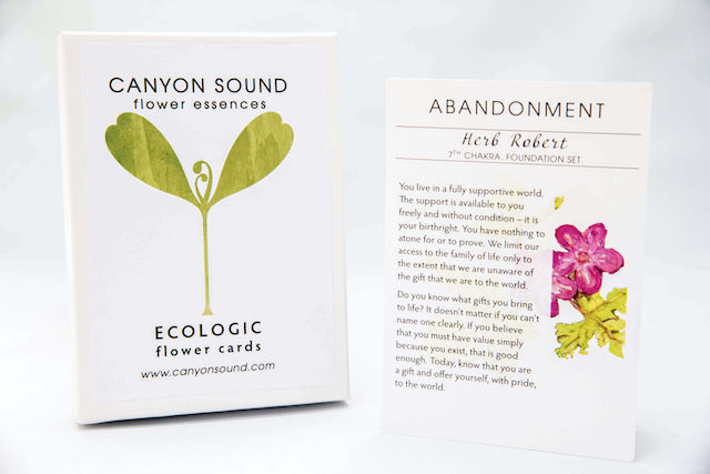 Ecologic Flower Cards