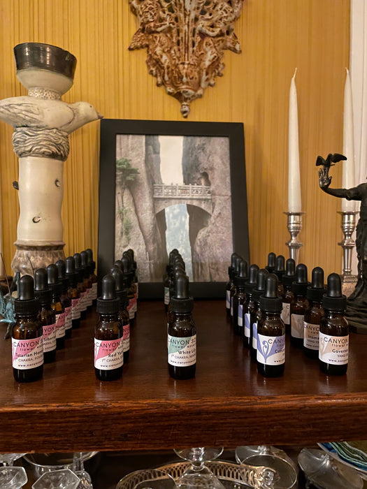 The Complete Essence Consultation Subscription with FREE Set of Essences