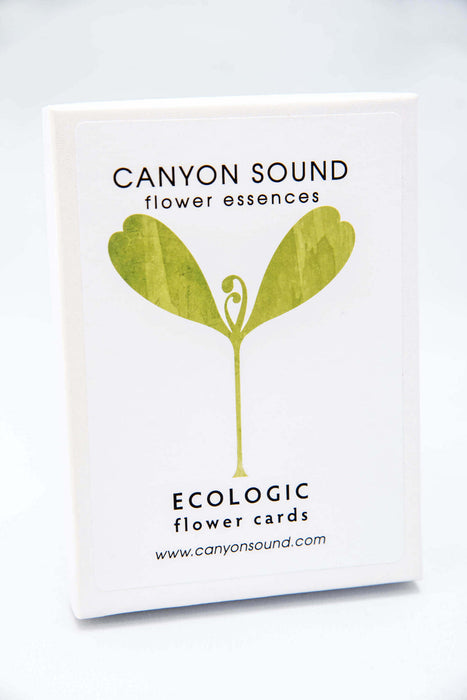 Ecologic Flower Cards