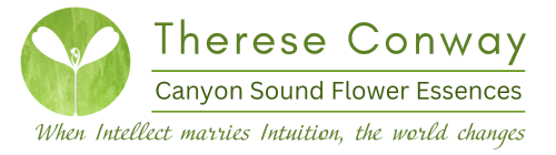 Canyon Sound Flower Essences